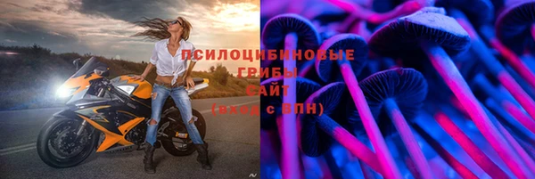 спиды Заволжье