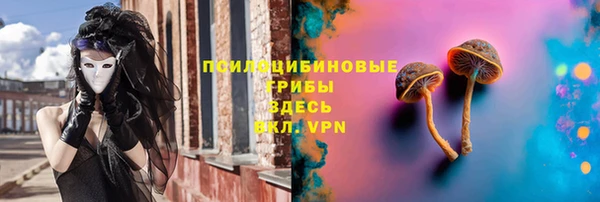 СК Заволжск