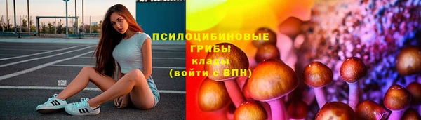 СК Заволжск
