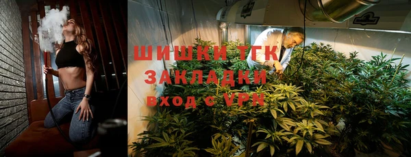 мдпв Заводоуковск