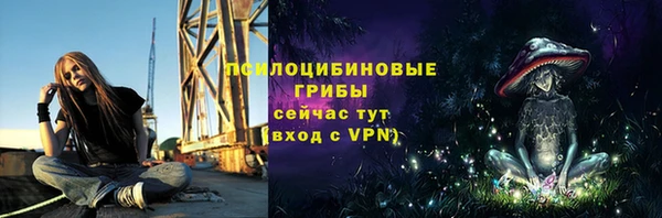 спиды Заволжье