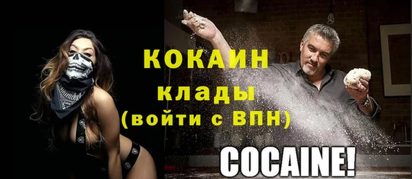 мдпв Заводоуковск