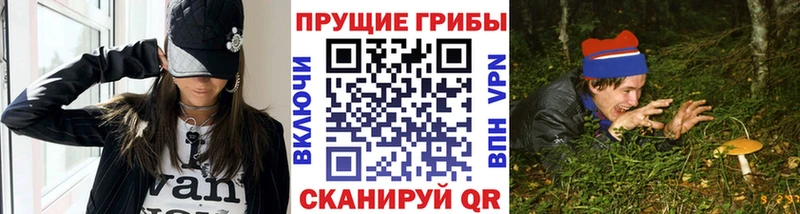 Псилоцибиновые грибы прущие грибы MEGA ссылка Карабаново купить цена